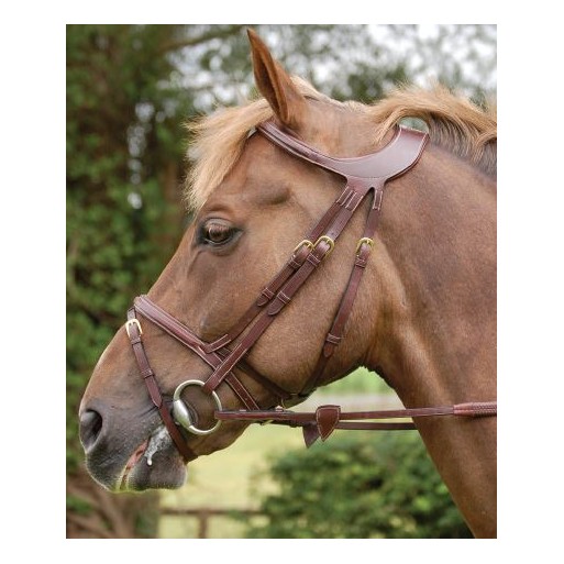 Difference bridle