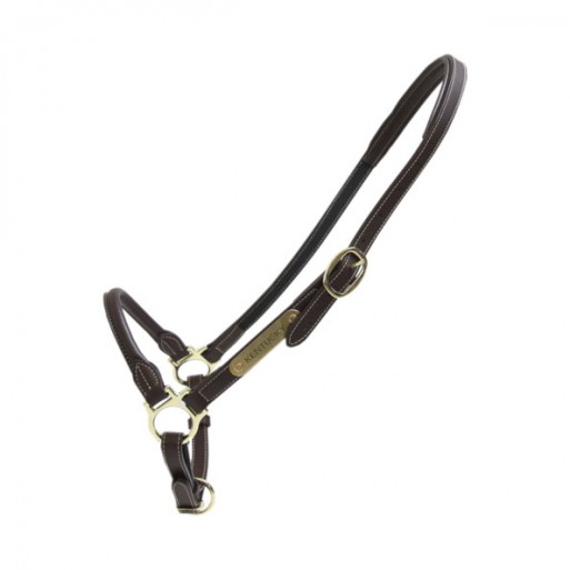 Leather grooming halter